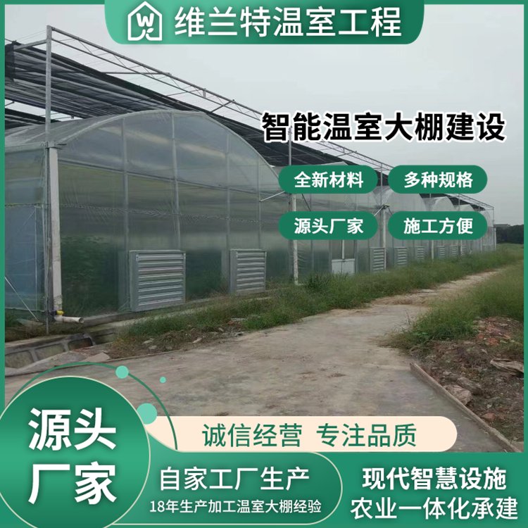 智能温室大棚造价是多少